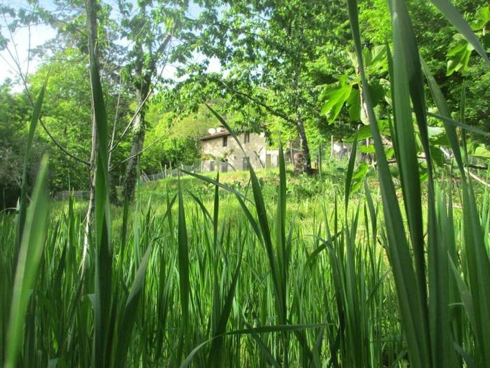 Agriturismo per 3 persone, con giardino e panorama, con animali domestici in Castiglione di Garfagnana