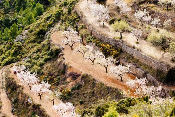 Casa rural con piscina para 8 personas, con vistas además de piscina y jardín en Alto Maestrazgo - 3