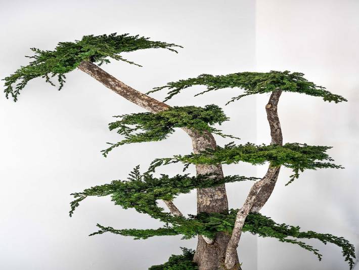 Location de vacances pour 10 personnes à Monaco