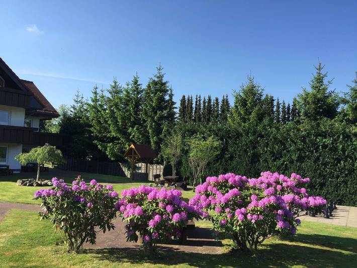 Ferienwohnung für 3 Personen, mit Ausblick und Garten sowie Sauna, mit Haustier in Sankt Andreasberg - 3