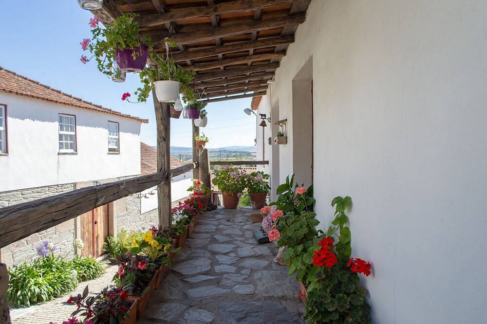 Quinta Da Estrada Douro-vallei, foto 15