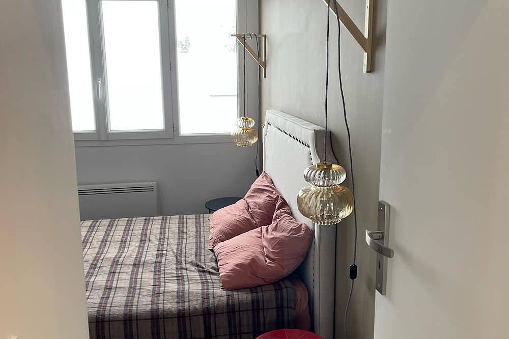 Entire apartment, F1 50 m2 bright, quiet and comfortable in Cran-Gevrier, Annecy region