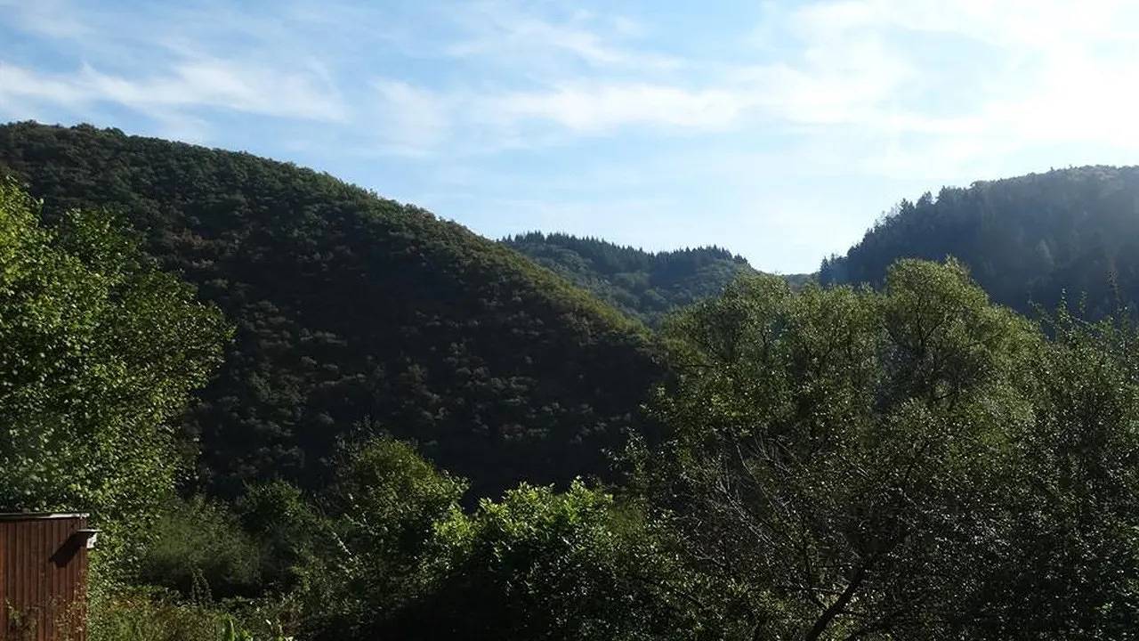 Ganze Ferienwohnung, Ferienwohnung für 4 Personen (85 m²) in Waldbreitbach in Waldbreitbach, Rheinland-Pfalz