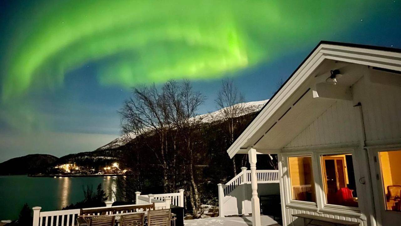 Efjord and Stetind Resort - Cabin Ocean in Ballangen 