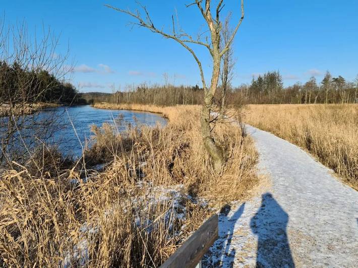Ferienhaus für 6 Personen, mit Garten und Pool sowie Terrasse, kinderfreundlich in Ostjütland - 4