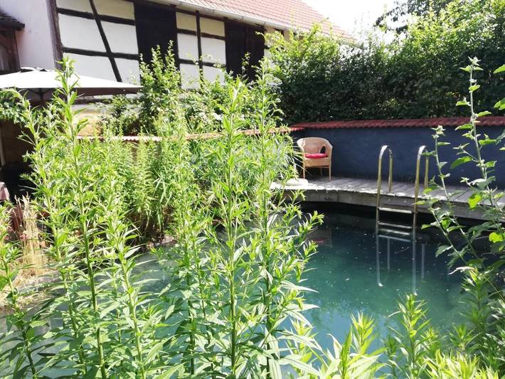 Ferienwohnung für 2 Personen, mit Garten und Pool sowie Ausblick in Ebensfeld - 2