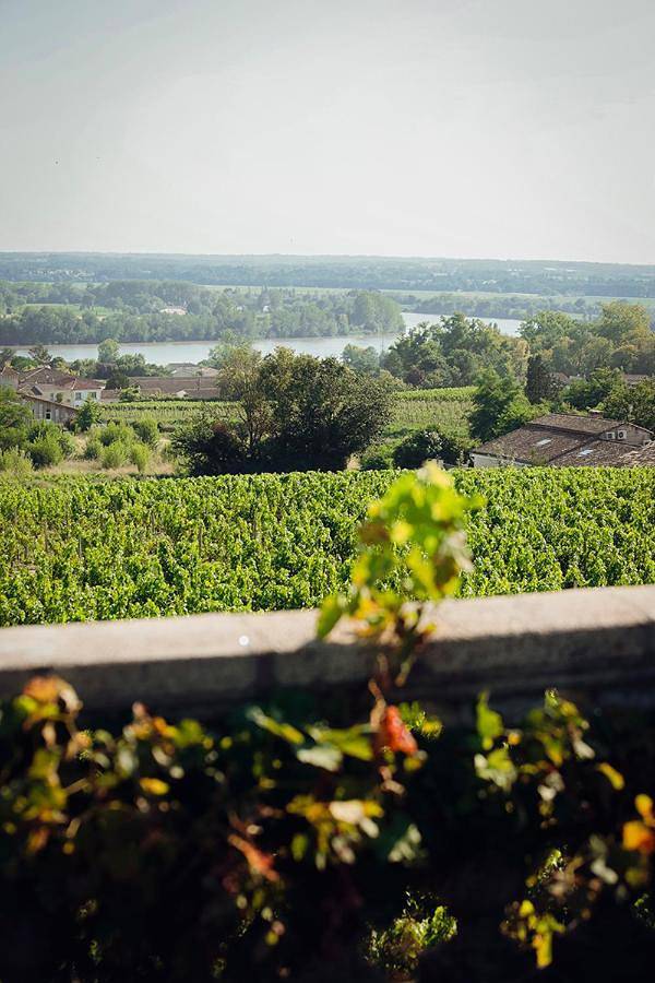 Gîte pour 2 personnes, avec terrasse ainsi que jardin et vue à Fronsac - 2