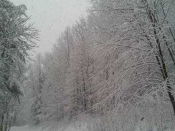 Glamping for 6 Guests in Shenandoah Valley, Virginia, Picture 1