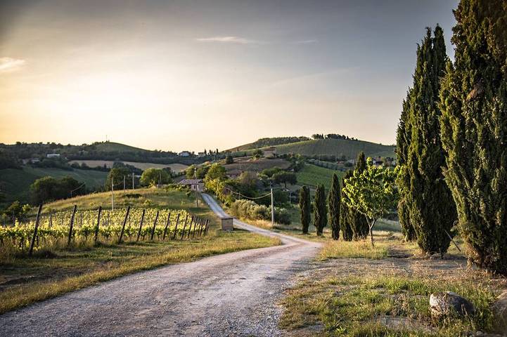 Agriturismo für 4 Personen, mit Garten in Montalto delle Marche