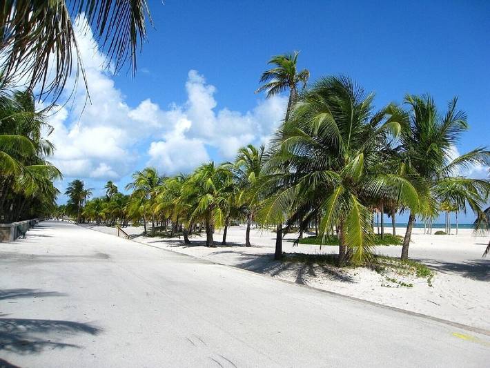 Vacation rental for 3 people, with pool and yard in Key Biscayne