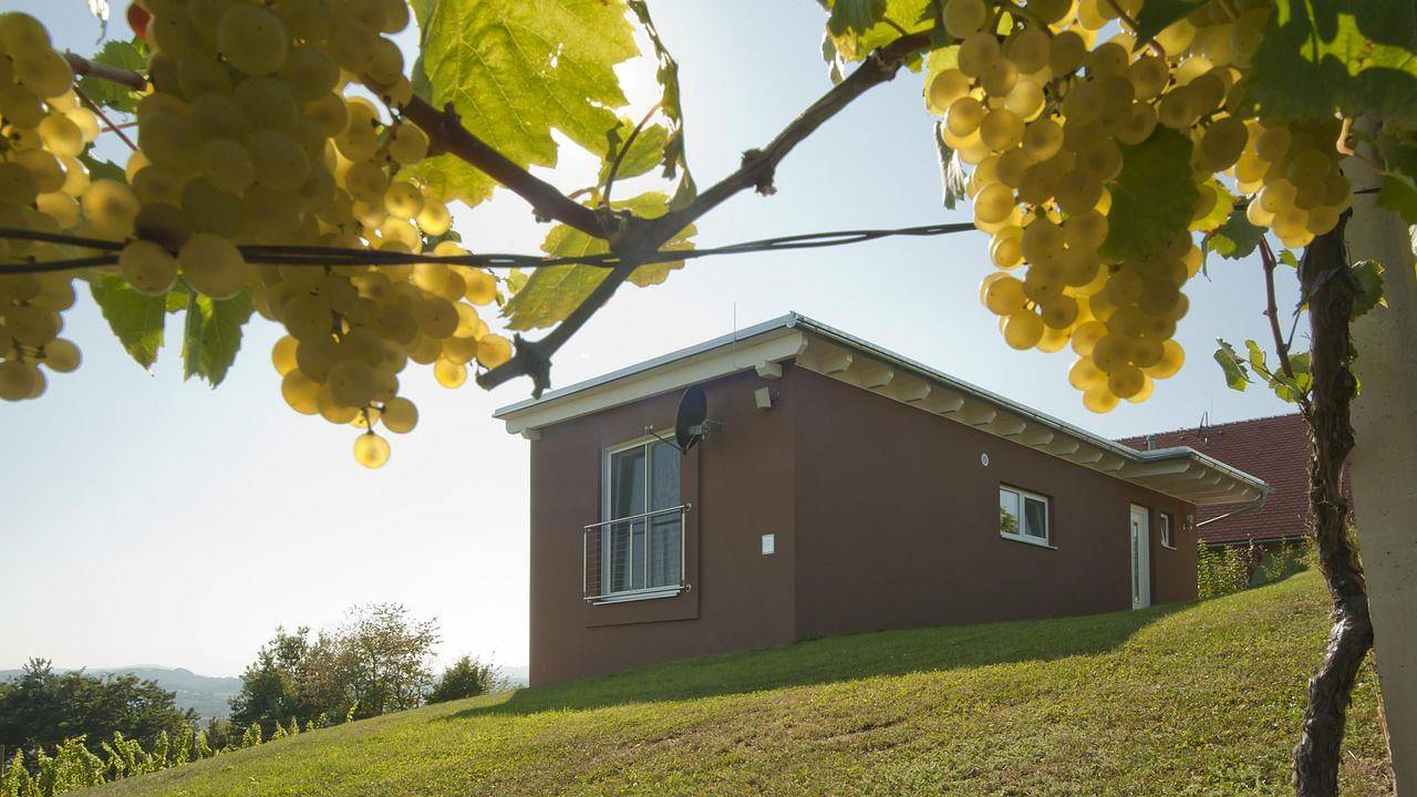 Ferienhaus für 6 Personen (80 m²) in Fehring in Südoststeiermark, Fehring