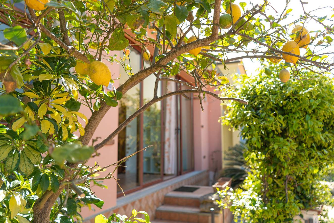 Appartamento intero, Home Lemon in Straulas, San Teodoro