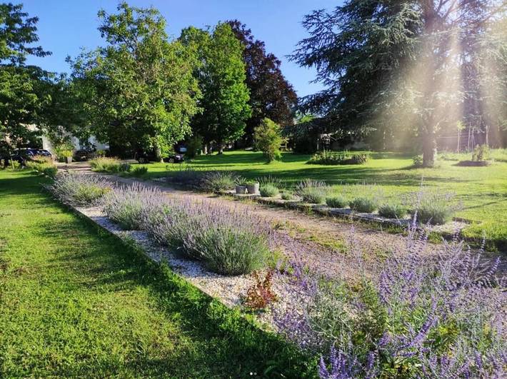 Chambre d’hôte pour 2 personnes, avec jardin ainsi que vue et piscine à Amboise - 2