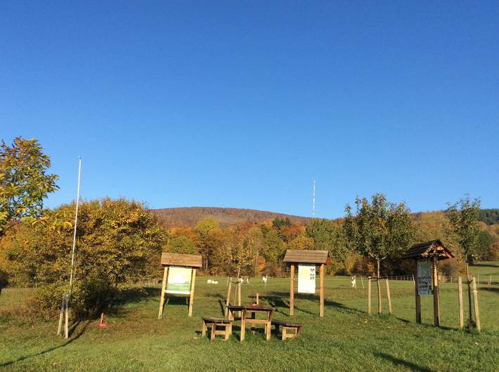 Ferienhaus für 4 Personen, mit Balkon/Terrasse an der Rhön - 4