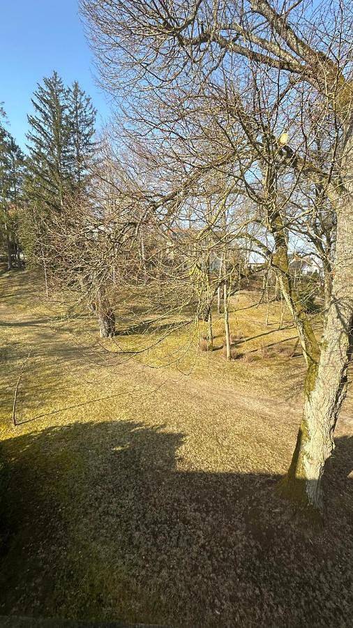 Ferienwohnung für 5 Personen, mit Garten und Ausblick in Münnerstadt - 4