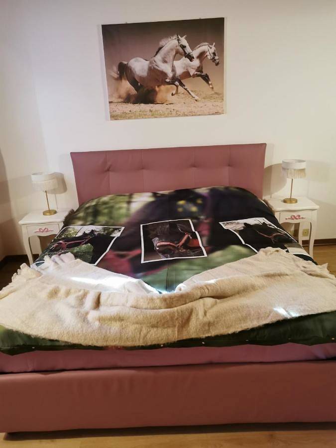 Single Room with Shared Toilet in Ozzano dell'Emilia, Province de Bologne
