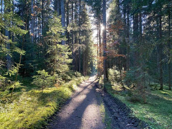 Gîte pour 4 personnes, avec vue et terrasse à Wilhelmsfeld