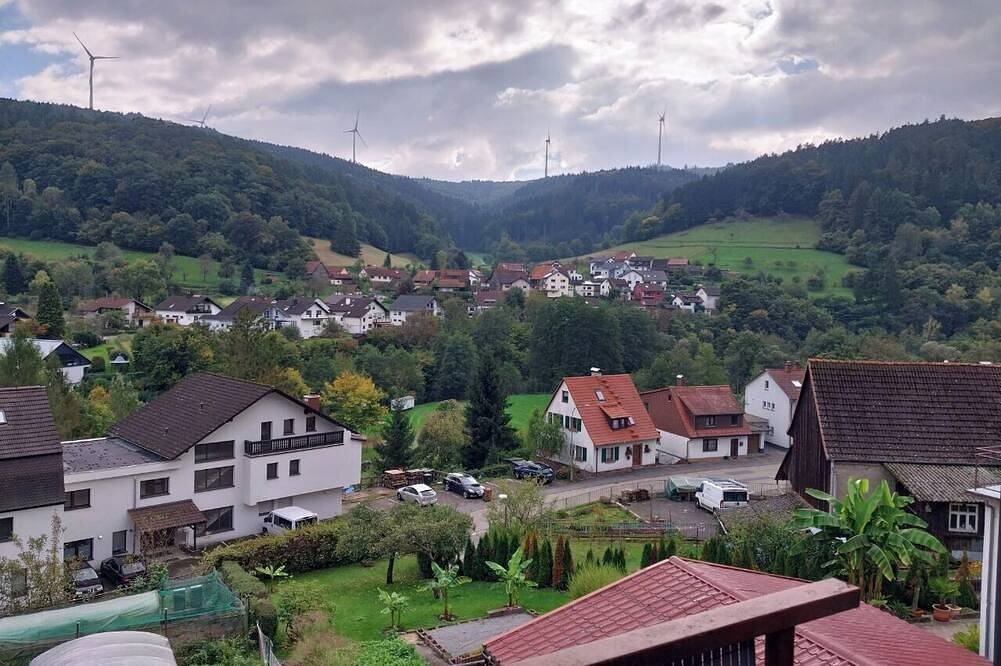 Ganze Wohnung, Talblick-Ruhe in Hirschhorn / in der Nähe Heidelberg in Hirschhorn, Bergstraße