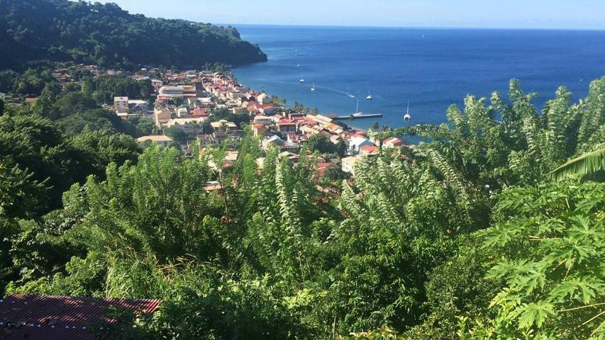 Maison d’hôte pour 2 personnes, avec jardin et terrasse en Martinique - 2