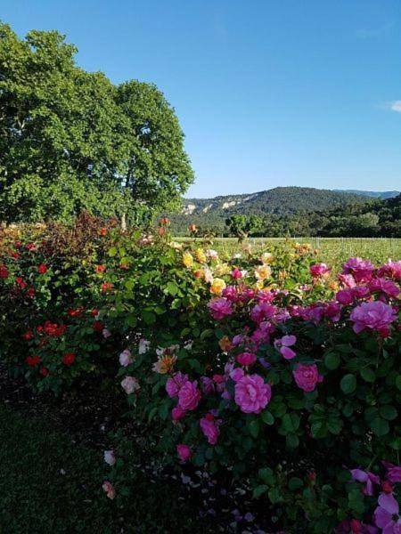 Luberon - Mas du Grand Saint Julien in Rustrel, Parc naturel régional du Luberon