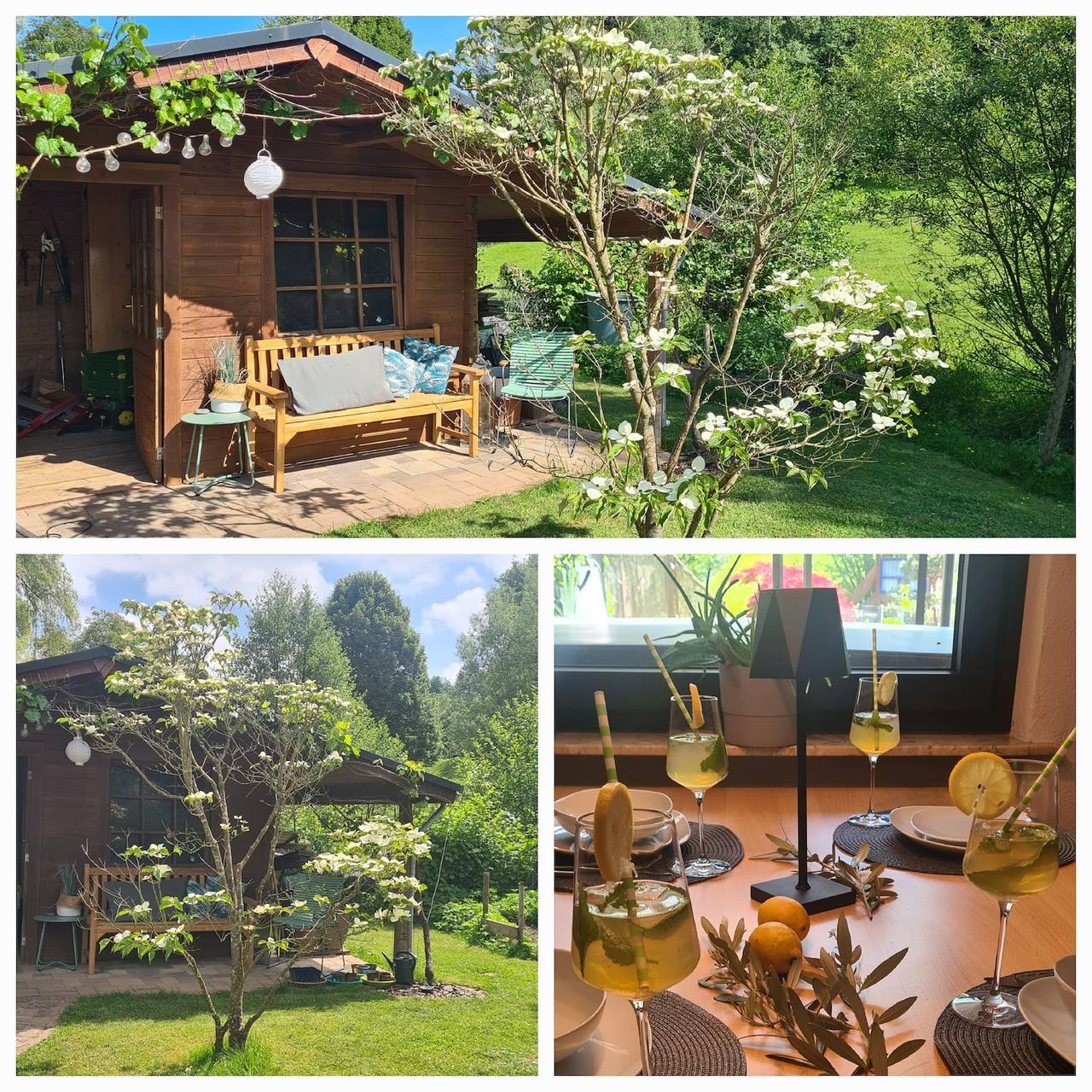 Ganze Ferienwohnung, Apartment Summer Garden in Trassem, Landkreis Trier-Saarburg