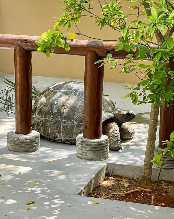 Location de vacances pour 6 personnes, avec jardin ainsi que piscine et vue dans Beau Vallon - 2