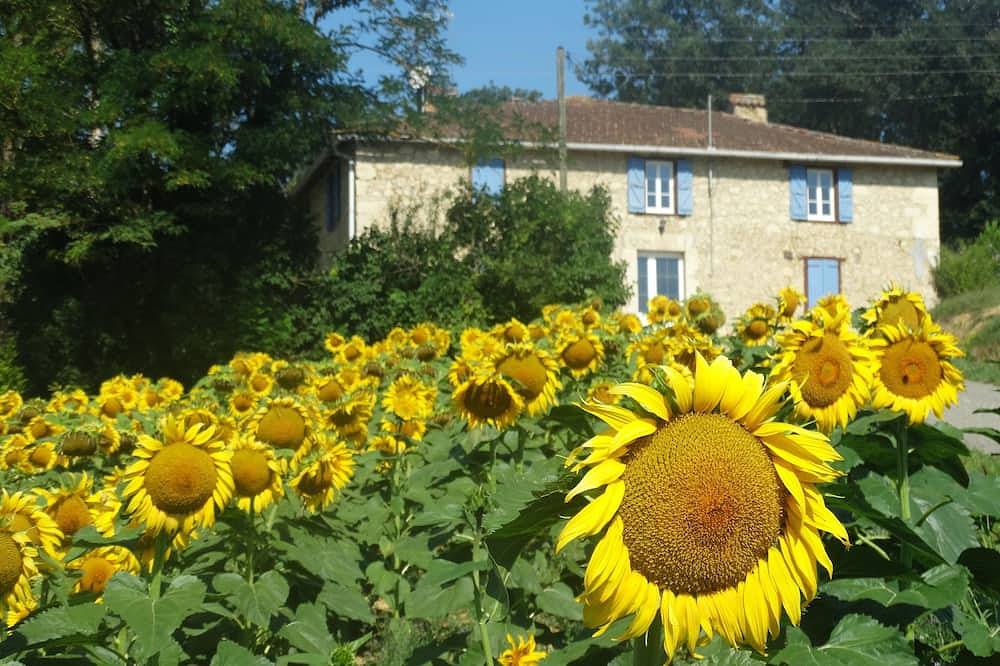Ideal for recharging in Faget-Abbatial, Gers