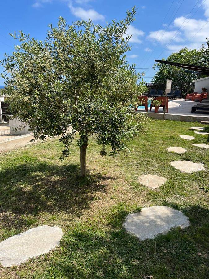 Appartement entier, Résidence Pasturella in Furiani, Cap Corse