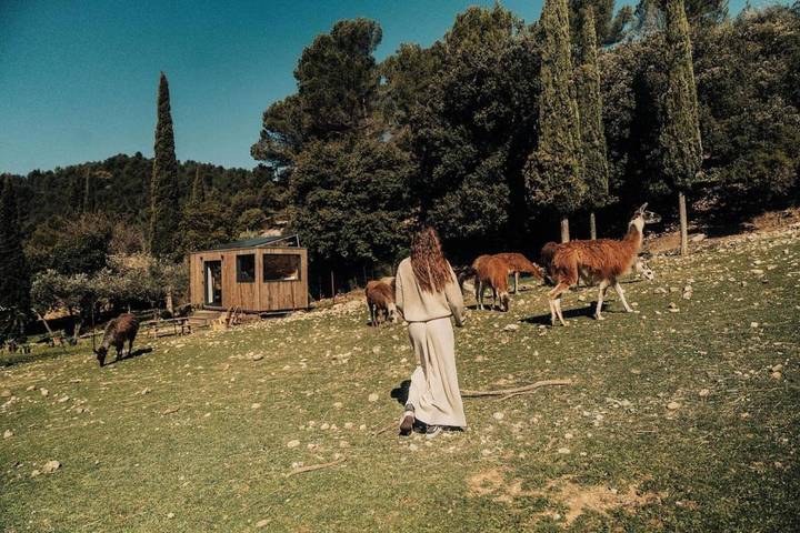 Gîte pour 4 personnes, animaux acceptés