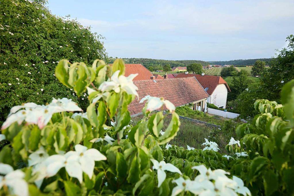 Ganze Ferienwohnung, Biogarten-Ferienhaus Kamptal (140m2) - Ferienhaus mit Ausblick in Schiltern, Langenlois