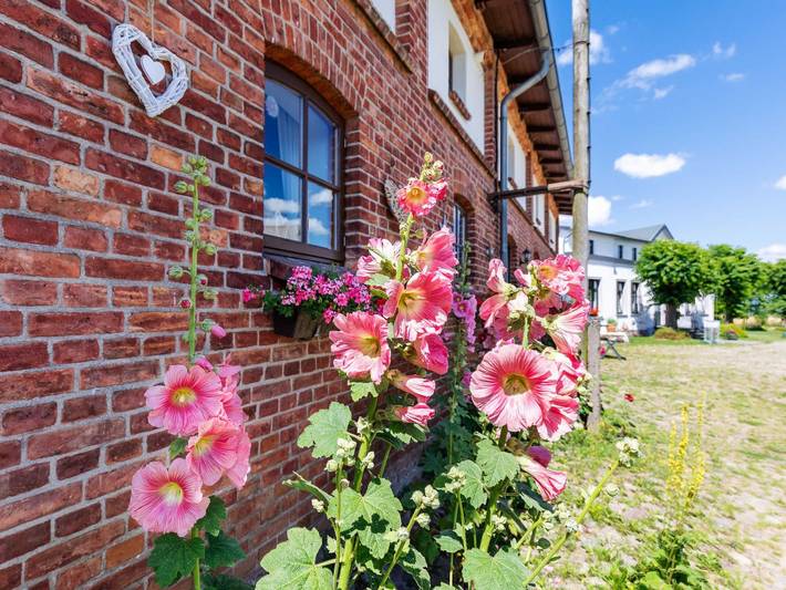 Bauernhof für 3 Personen, mit Terrasse und Garten sowie Ausblick in Rostock und Umgebung