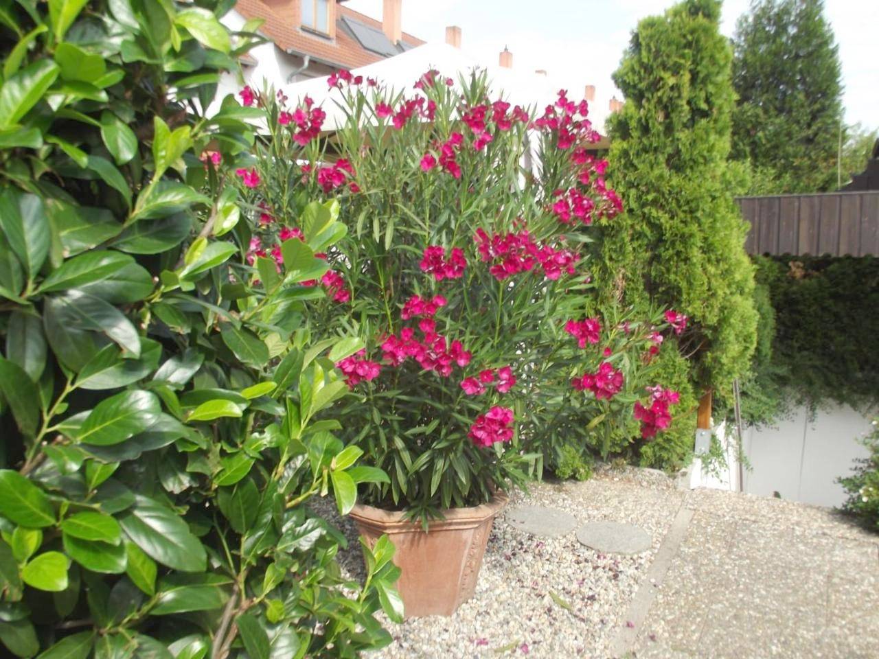 Appartement entier, Feworeinhard in Spire, Plaine du Rhin