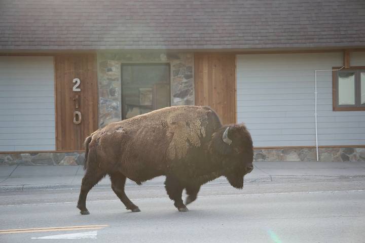 Ferienwohnung für 6 Personen, mit Terrasse - 1