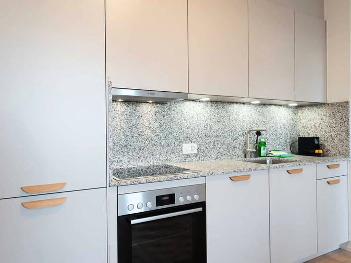 Apartamento entero, 2 Pièces 4 Personnes in Zürich 48 Altstetten, Zúrich
