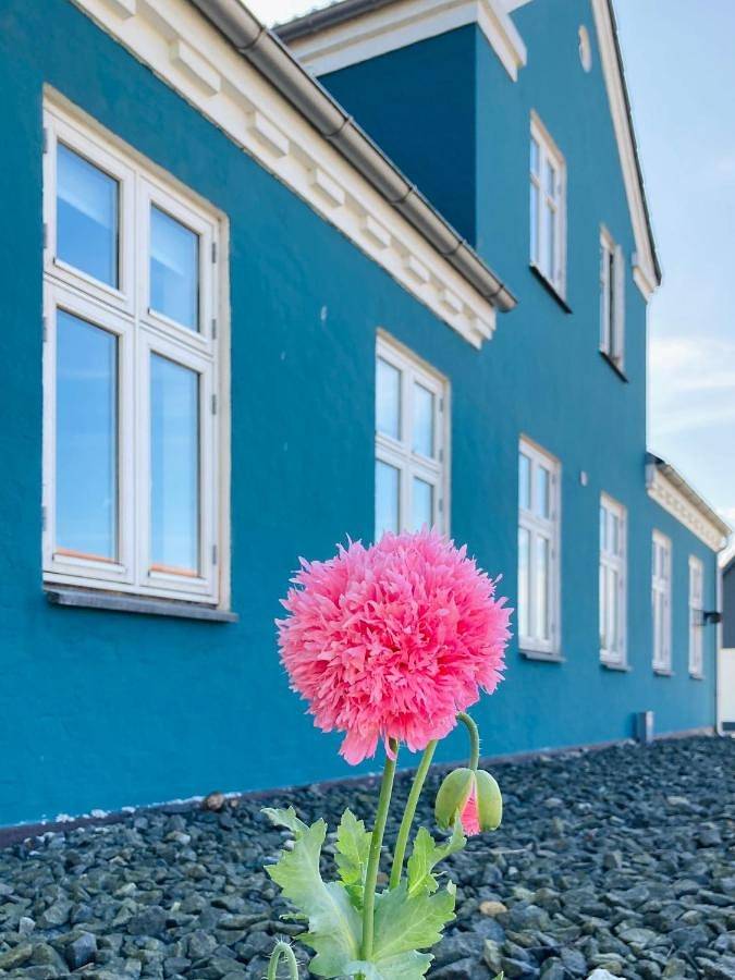 Ferielejlighed for 5 personer, med Jacuzzi og Terrasse såvel som Have og Pool i Hals