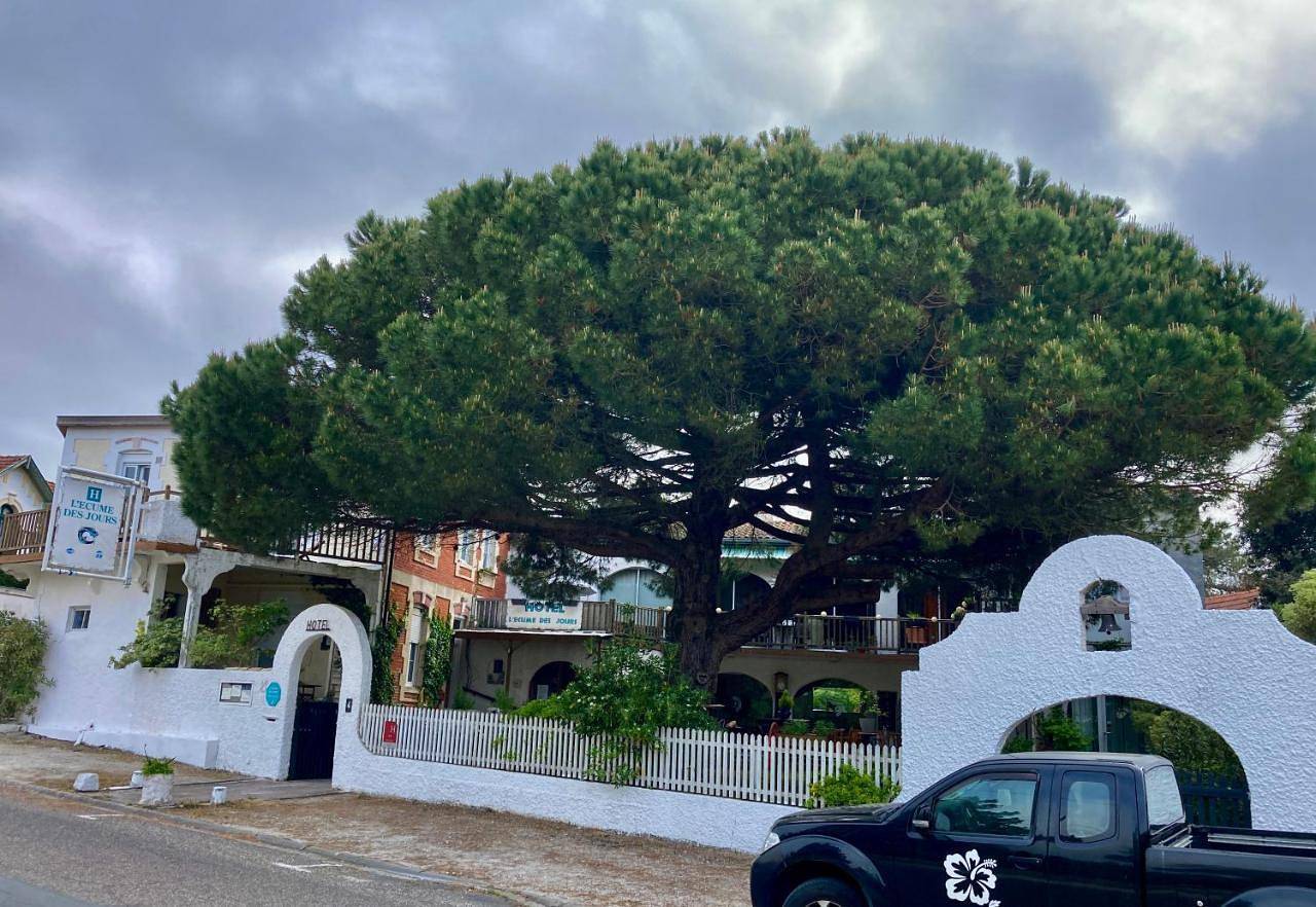 L'Ecume des Jours in Soulac-sur-Mer, Parc naturel régional du Médoc