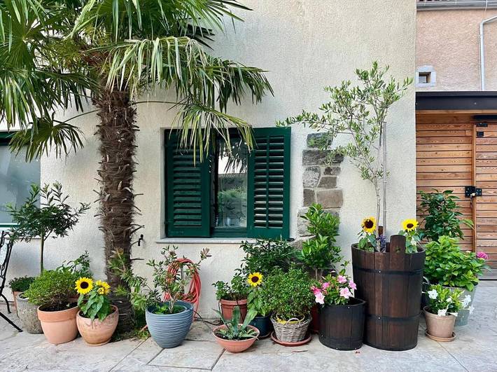 Gîte pour 4 personnes, avec jardin et vue, animaux acceptés à Vipava