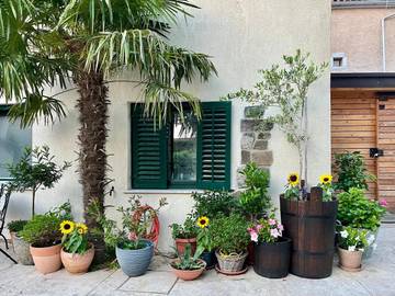 Gîte pour 4 personnes, avec vue et jardin, animaux acceptés à Vipava