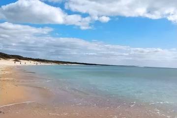 Location de vacances pour 12 personnes, avec terrasse et jardin dans Vert Bois