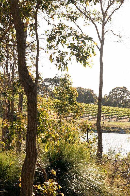Vaila Bushland Charm near Beaches and Top Wineries in Yallingup, Western Australia
