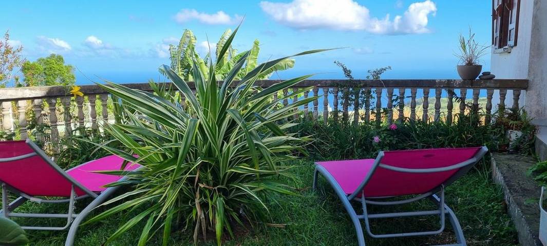 Gîte pour 2 personnes, avec jardin et vue, animaux acceptés aux Avirons - 4