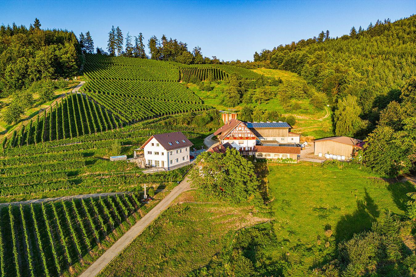 Ganze Wohnung, Ferienwohnung 'Paradieshof' mit Privatterrasse und Wi-Fi in Lautenbach, Mittlerer Schwarzwald