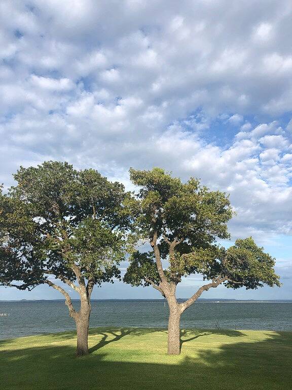 Vacation rental for 14 people, with terrace, with pets in Lake Buchanan