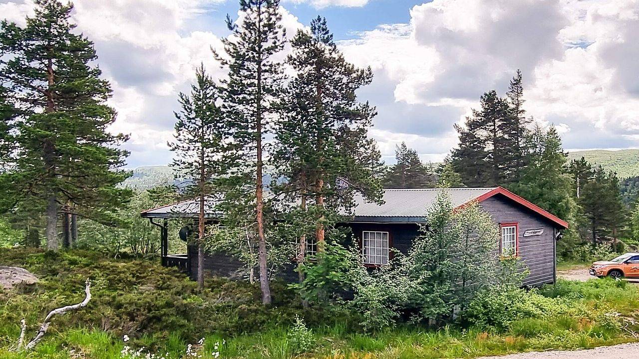 Feriehus for 7 personer med terrasse in Bortelid, Åseral