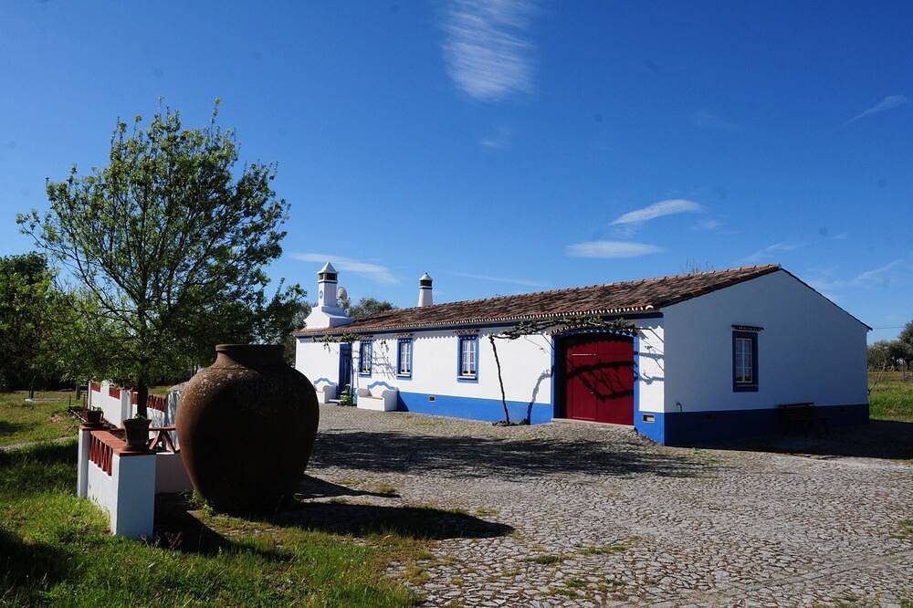 Traditional Alentejo estate with swimming pool and children's playground. in Redondo, Évora District