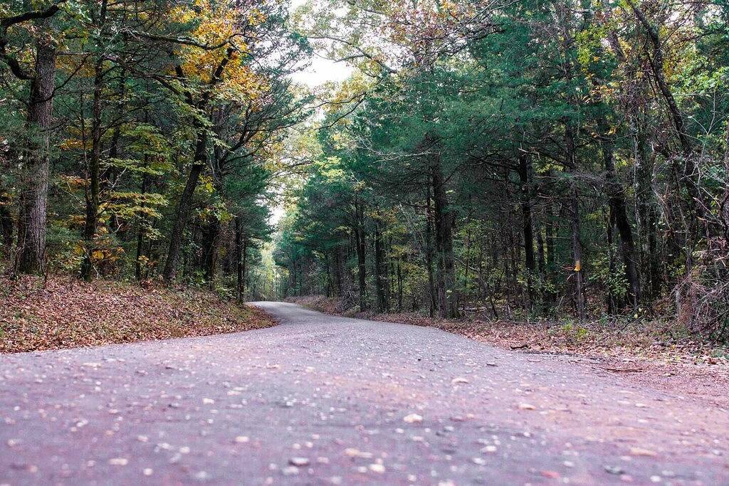 Lodge in Woods, an der, östlich von Dallas in der Nähe von Canton, Tyler & Edom in Van Zandt County