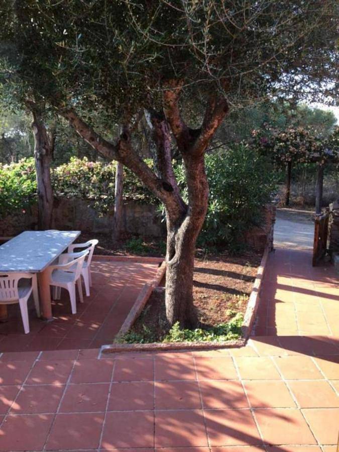 Location de vacances pour 5 personnes, avec jardin à Porto Pollo - 4