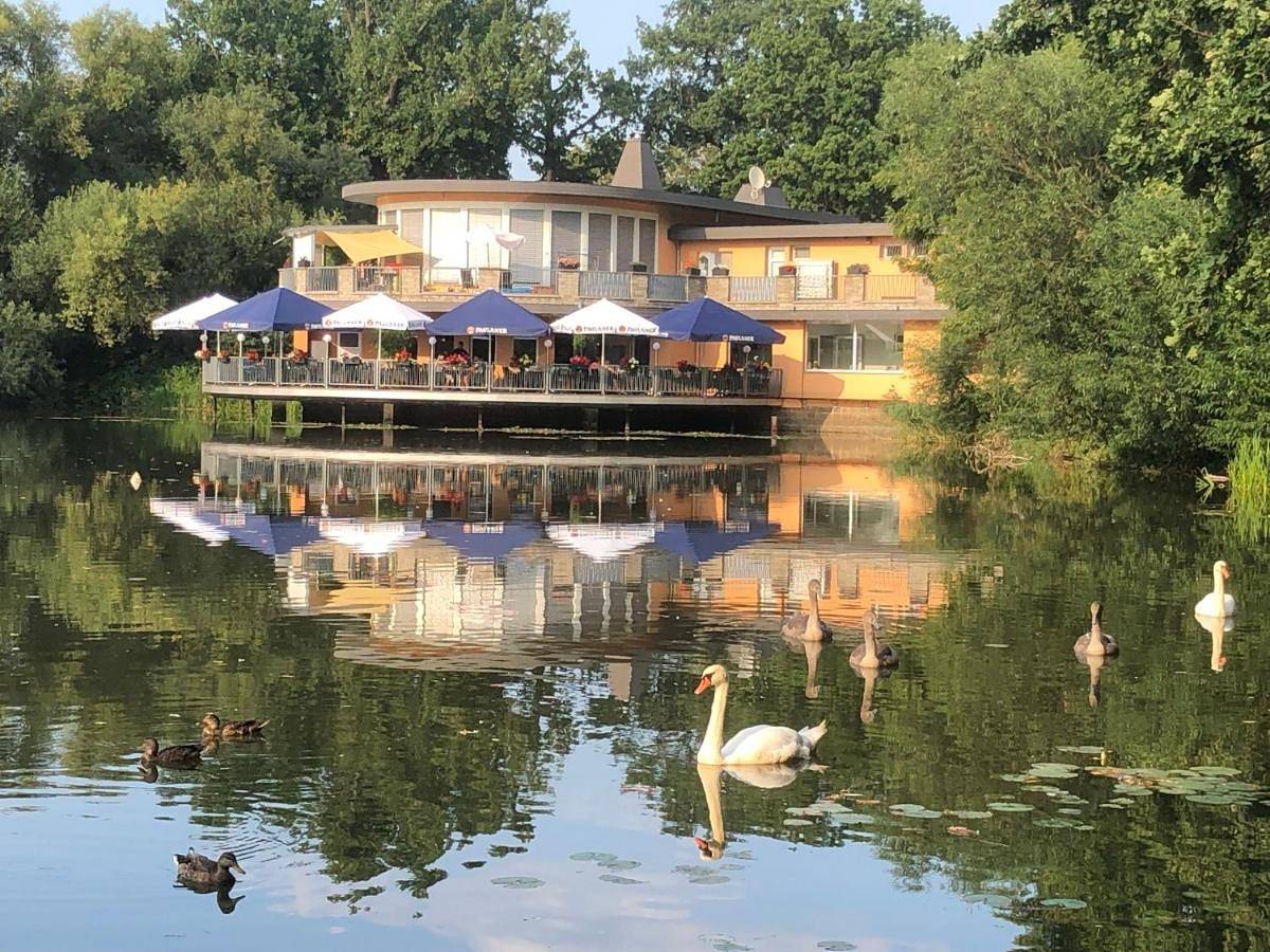 Ganze Wohnung, Pension am See in Torgau, Nordsachsen