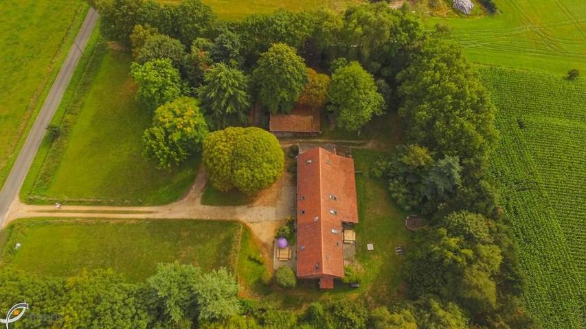 Maison de campagne pour 24 personnes, avec jardin ainsi que vue et sauna, adapté aux familles à Peer - 2
