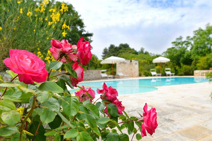 Room 'Corte Del Camedrio Lamia 1' with Shared Terrace, Wi-Fi and Air Conditioning in Ostuni, Salento